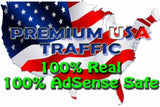 1,500+ Real USA Visitors to Your Website per Day