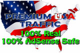 750+ Real USA Visitors to Your Website per Day